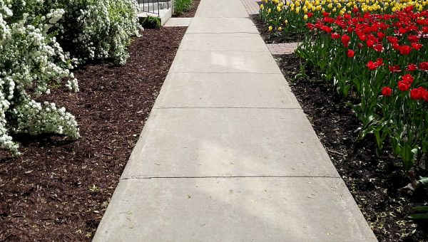 Cost of Cement Sidewalk Installation in Southport
